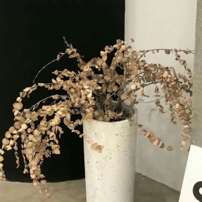 Furry插画色彩灵感福瑞群